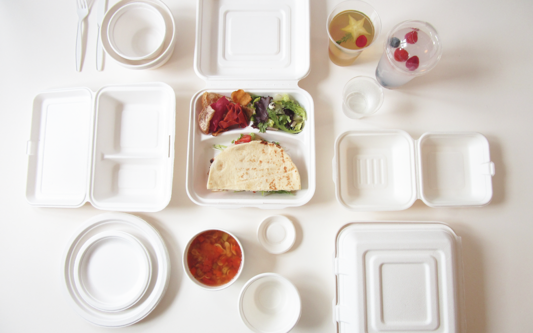 boîte à lunch compostable