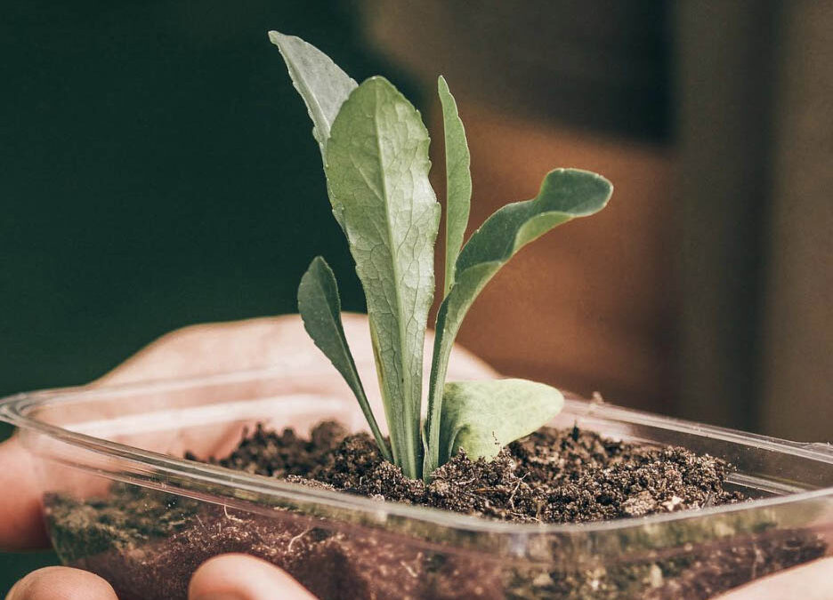 Rapport d’écoresponsabilité 2020-2021 de NOVA envirocom
