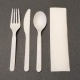 Kit (spoon, fork, knife, napkin individually wrapped) 5 in