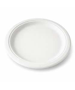Compostable bagasse plate 10” (25.4 cm)