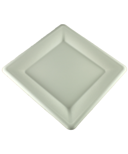 Compostable square bagasse plate 10’’