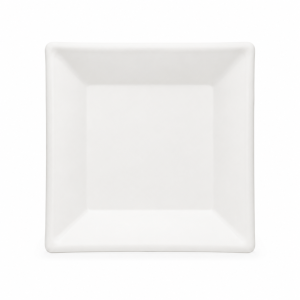 Compostable square bagasse plate 10’’