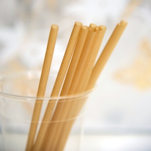Paille compostable