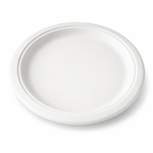 Compostable bagasse plate 10” (25.4 cm)