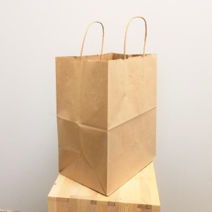 Naturel kraft twist handle paper bag 10x5x13