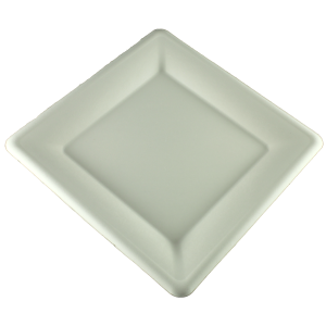 Compostable square bagasse plate 10’’